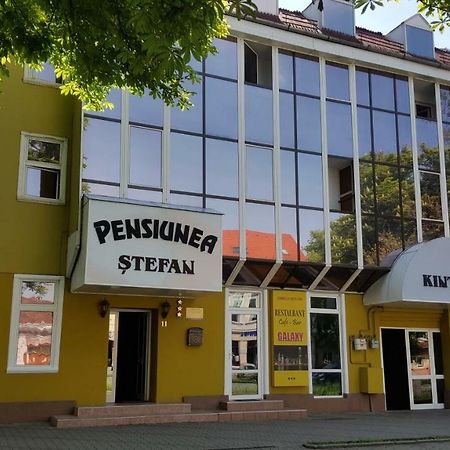 Pensiunea Stefan Бистрица Экстерьер фото